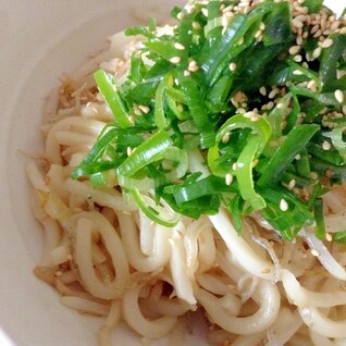 和風★カリカリじゃことシャキシャキねぎの♡焼うどん